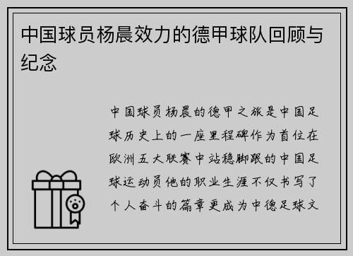 中国球员杨晨效力的德甲球队回顾与纪念